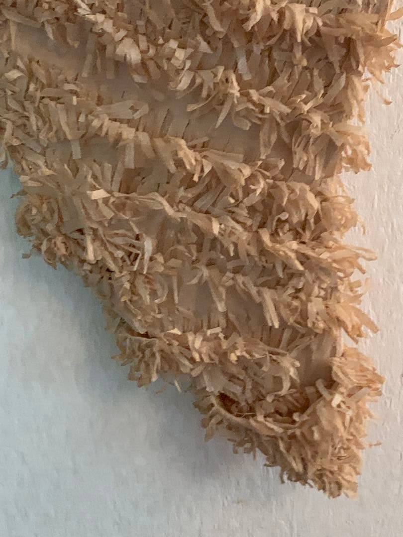 フランスアンティーク パピエの羽 オブジェ ブロカント