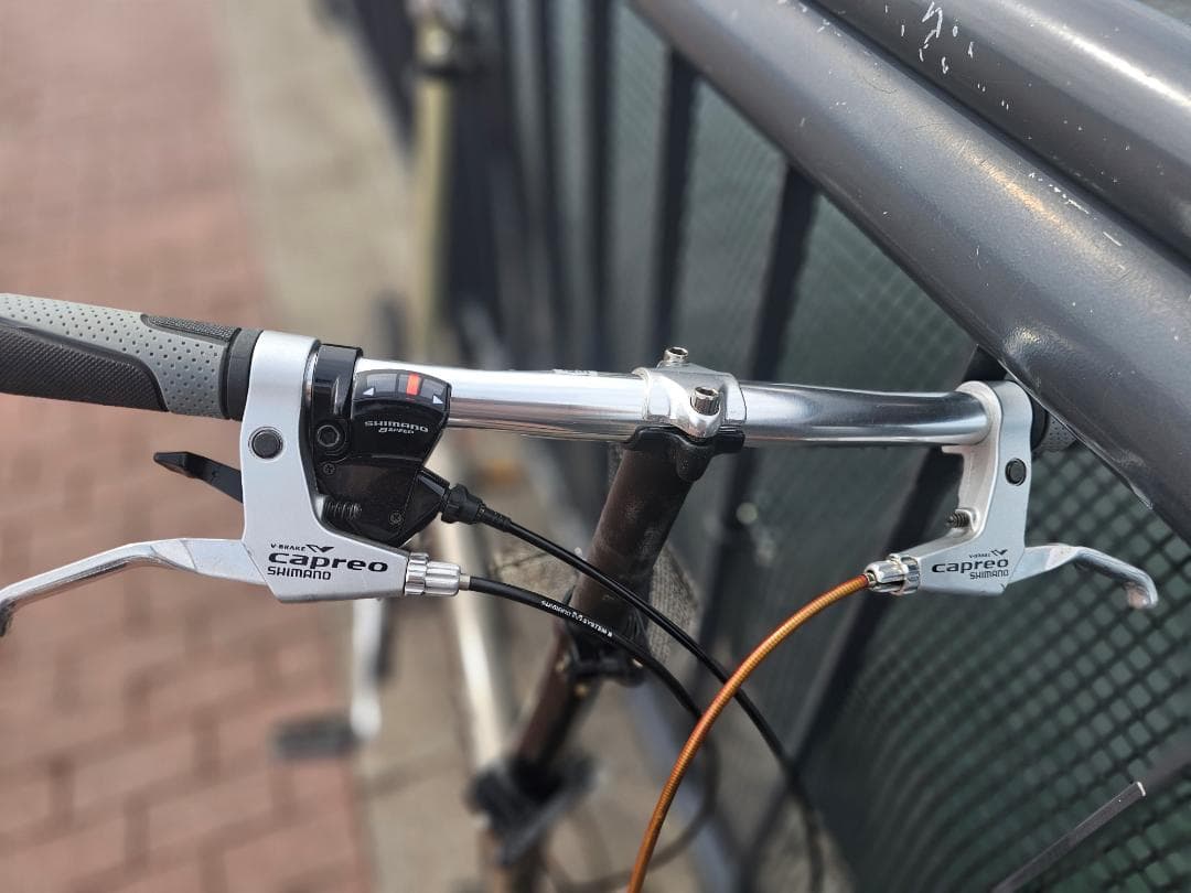 (手渡し歓迎) R&M BD-1 Birdy フルオーバーホール済み