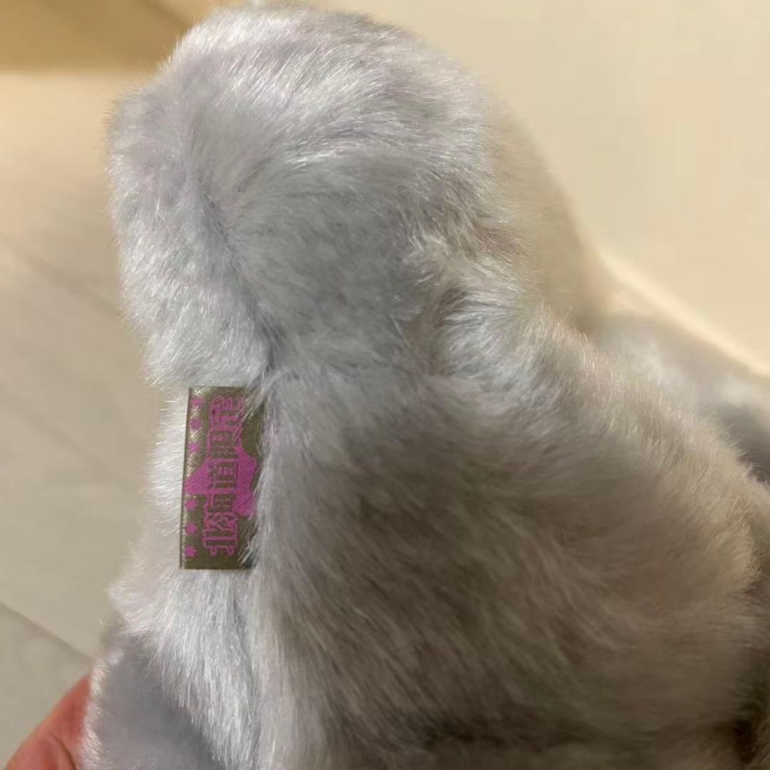 キティちゃんグレーキツネ