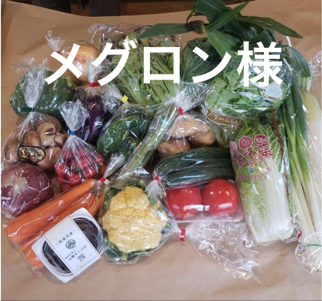 メグロン様 野菜セット 特盛
