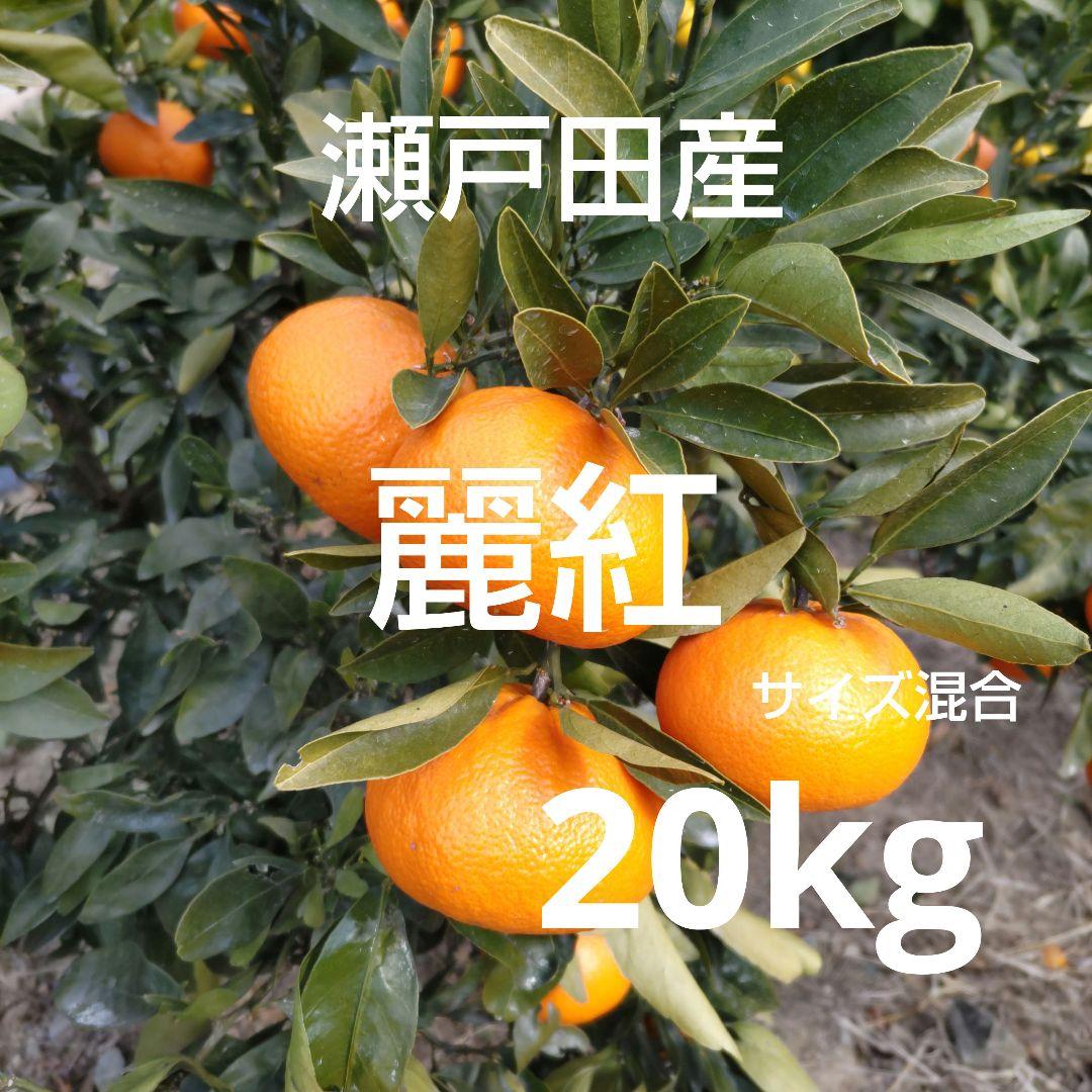 瀬戸田産　麗紅　20kg