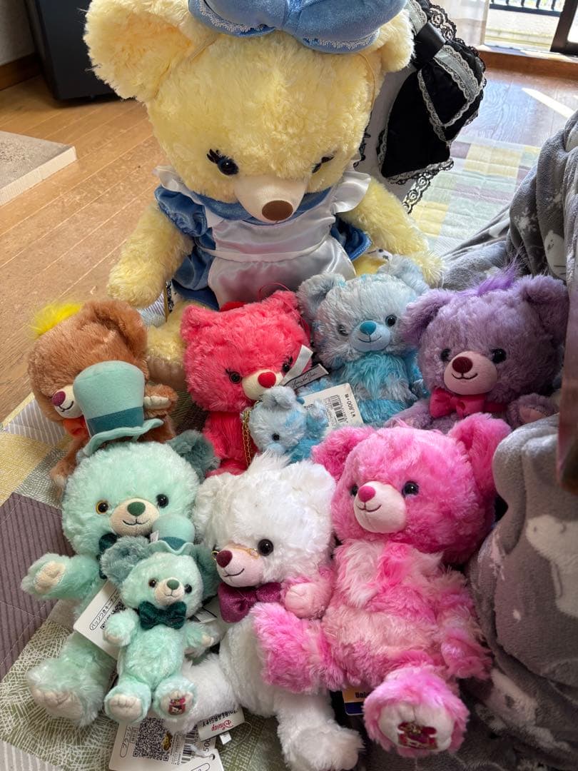 ディズニーストア ユニベアシティ 不思議の国のアリス コスチューム 29点