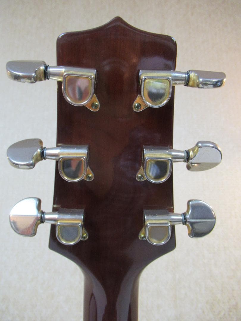 タカミネギター　EG334C　Gシリーズ　希少