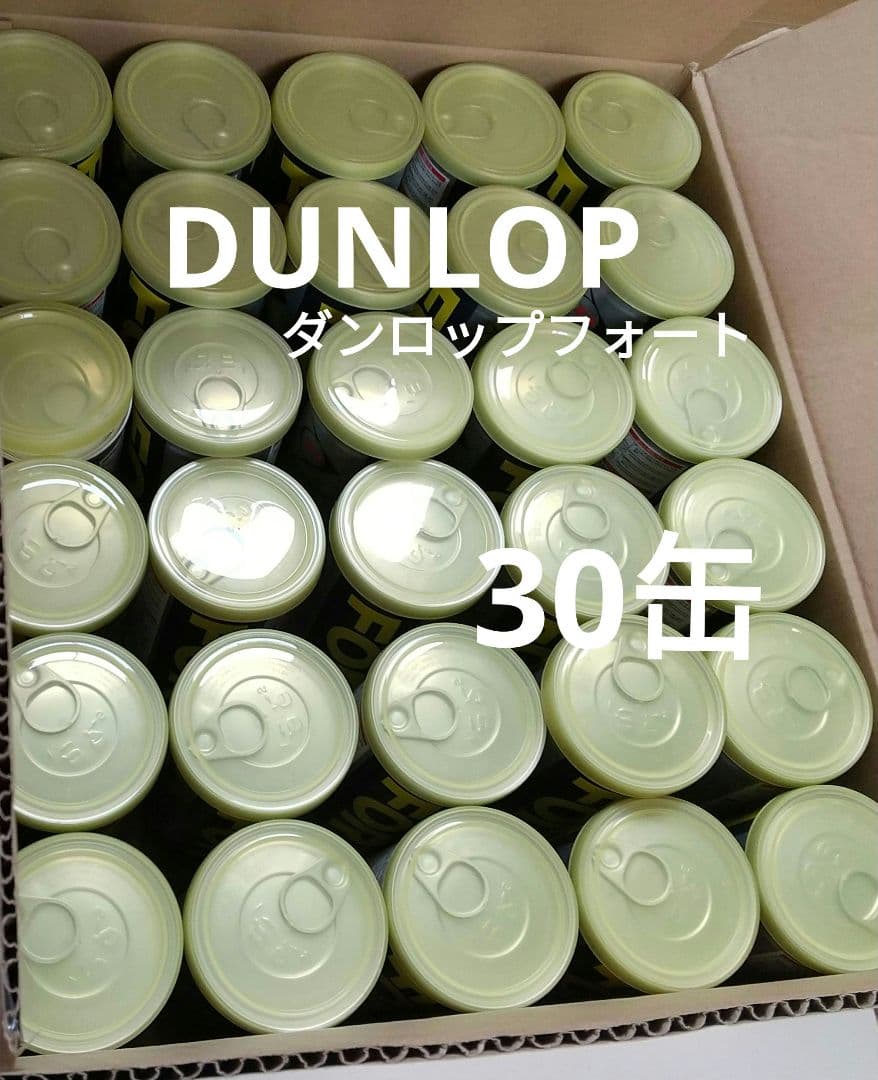☆DUNLOP☆ダンロップ☆フォート☆硬式☆テニスボール☆30缶