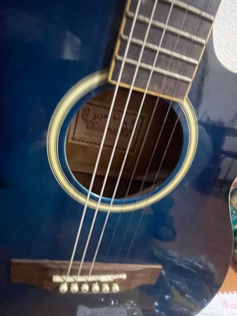 Sepia Crue EAW-180-BLS エレアコ ギター ブルー