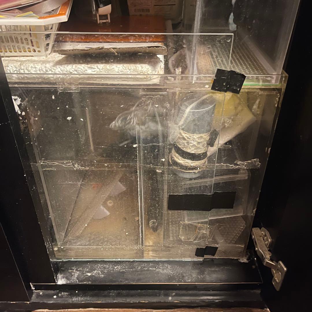 900 アクリル水槽　オーバーフロー 大型水槽 & キャビネット水槽台