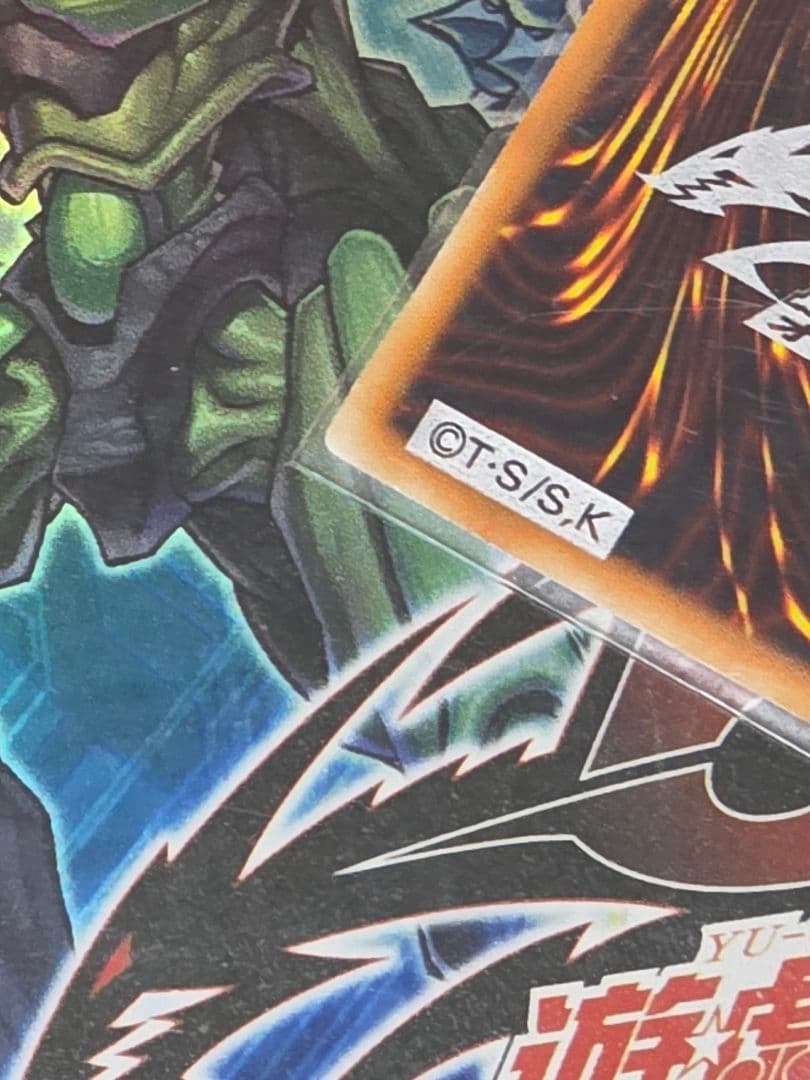 【匿名配送】ブラック・ローズ・ドラゴン ホロ