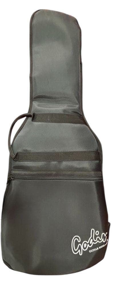 Godin エレキギター