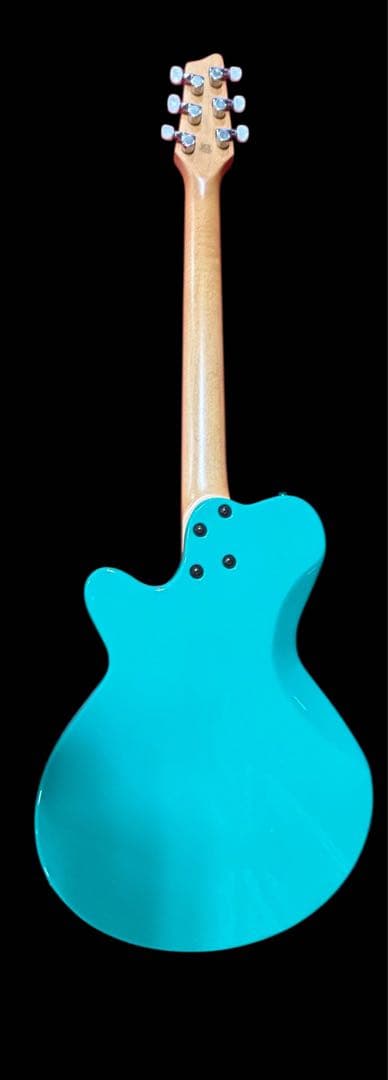 Godin エレキギター