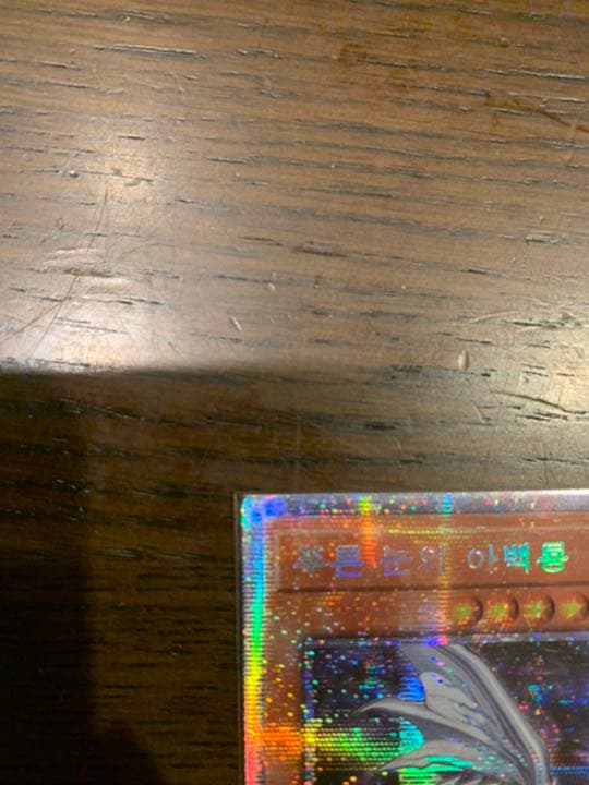 遊戯王 青眼の亜白龍　韓国版　プリシク