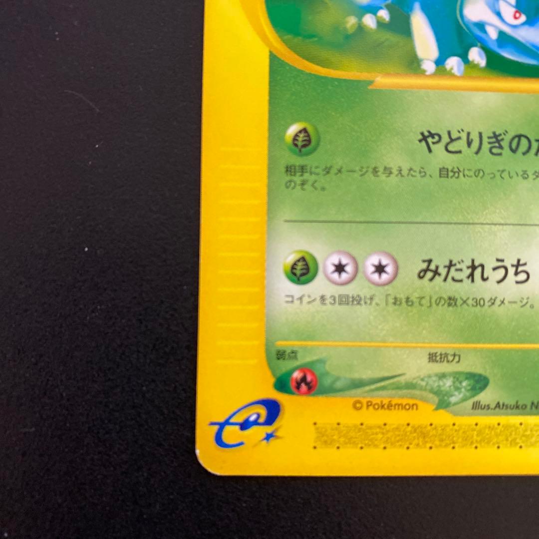 フシギバナ eカード