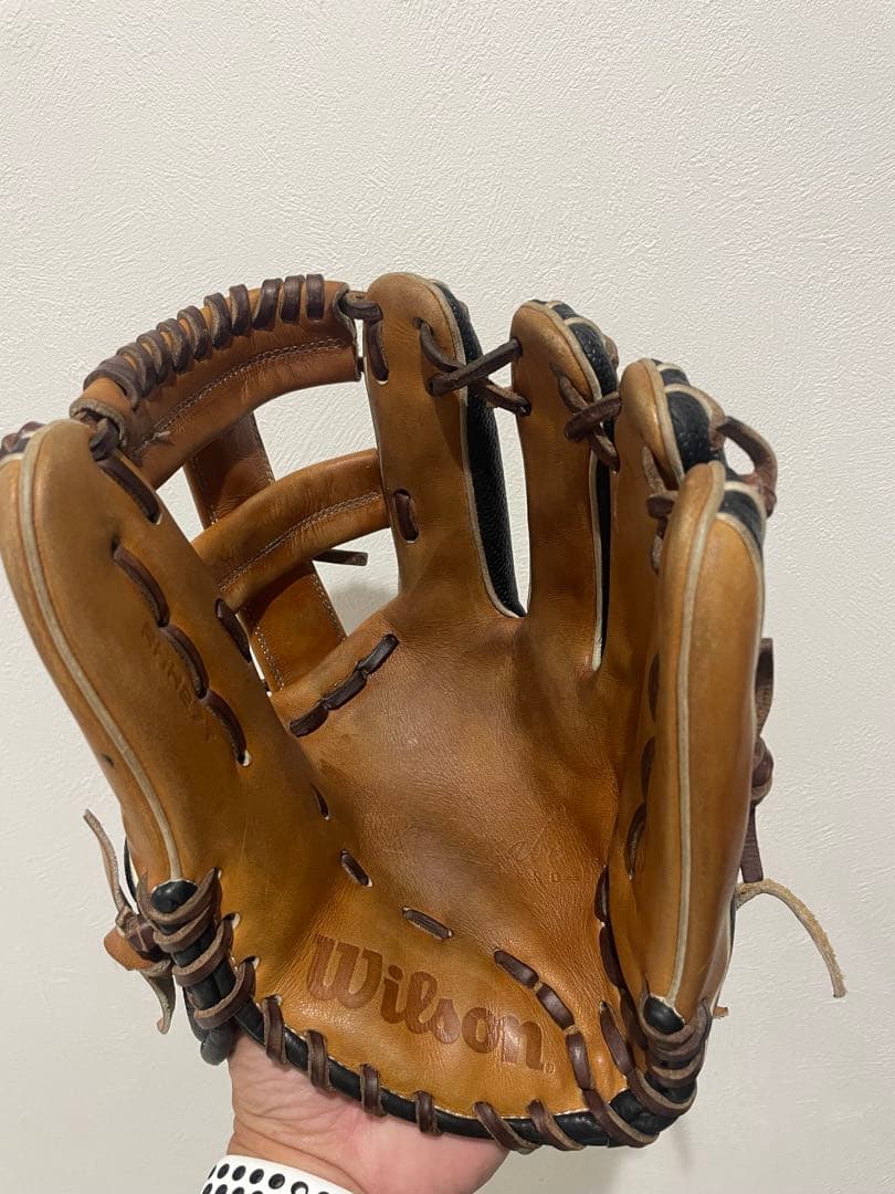 ウィルソングローブ