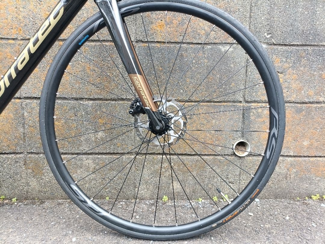 自転車本体 2024 corratec DOLOMITI DISC 105 12s 51