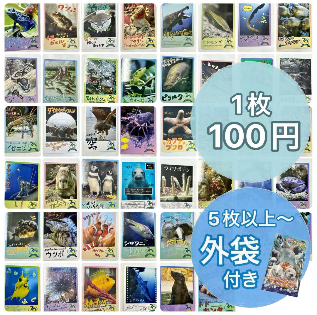 【バラ売り100円】鳥羽水族館 コレクションカード（とレカ）