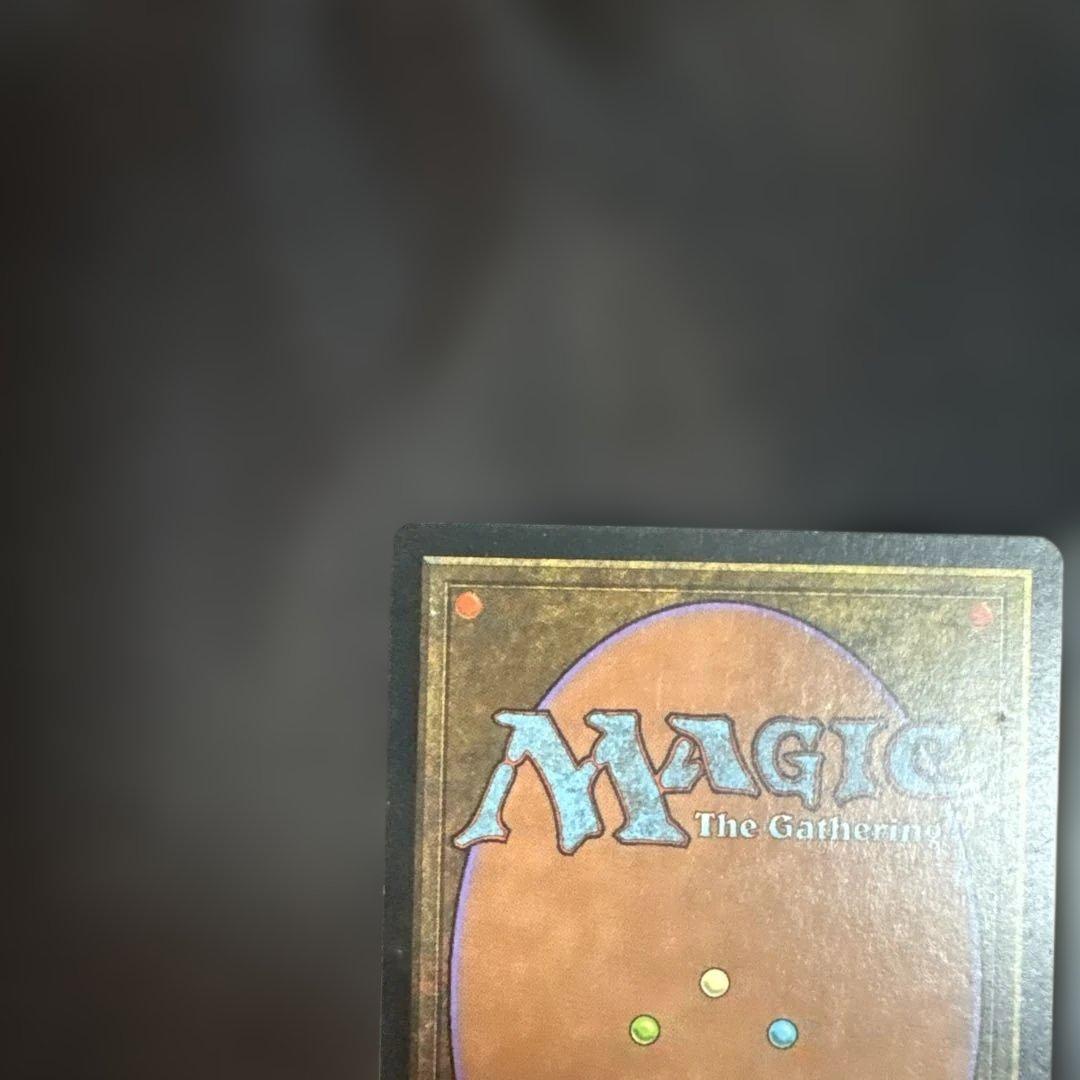 MTG 肉占い 日本語版4枚セット