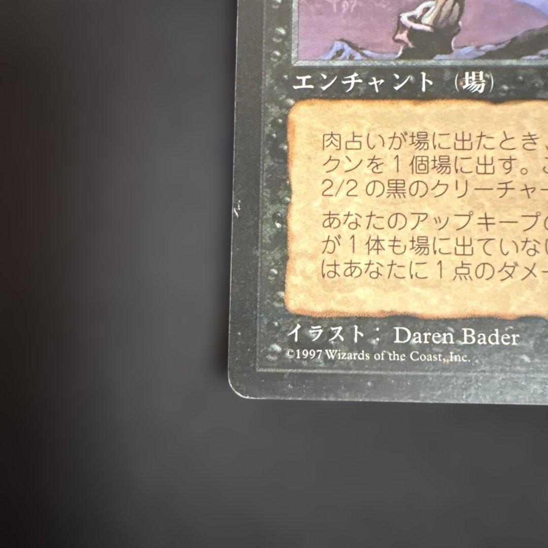 MTG 肉占い 日本語版4枚セット