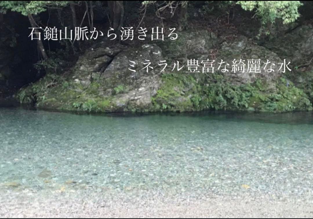 農薬化学肥料除草剤不使用　令和7年度新米　愛媛県産にこまる　天日干し米 20kg