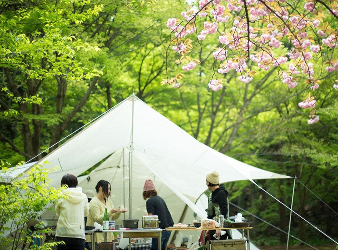 【新品】 peak HDタープ ヘキサエヴォ Pro.アイボリー