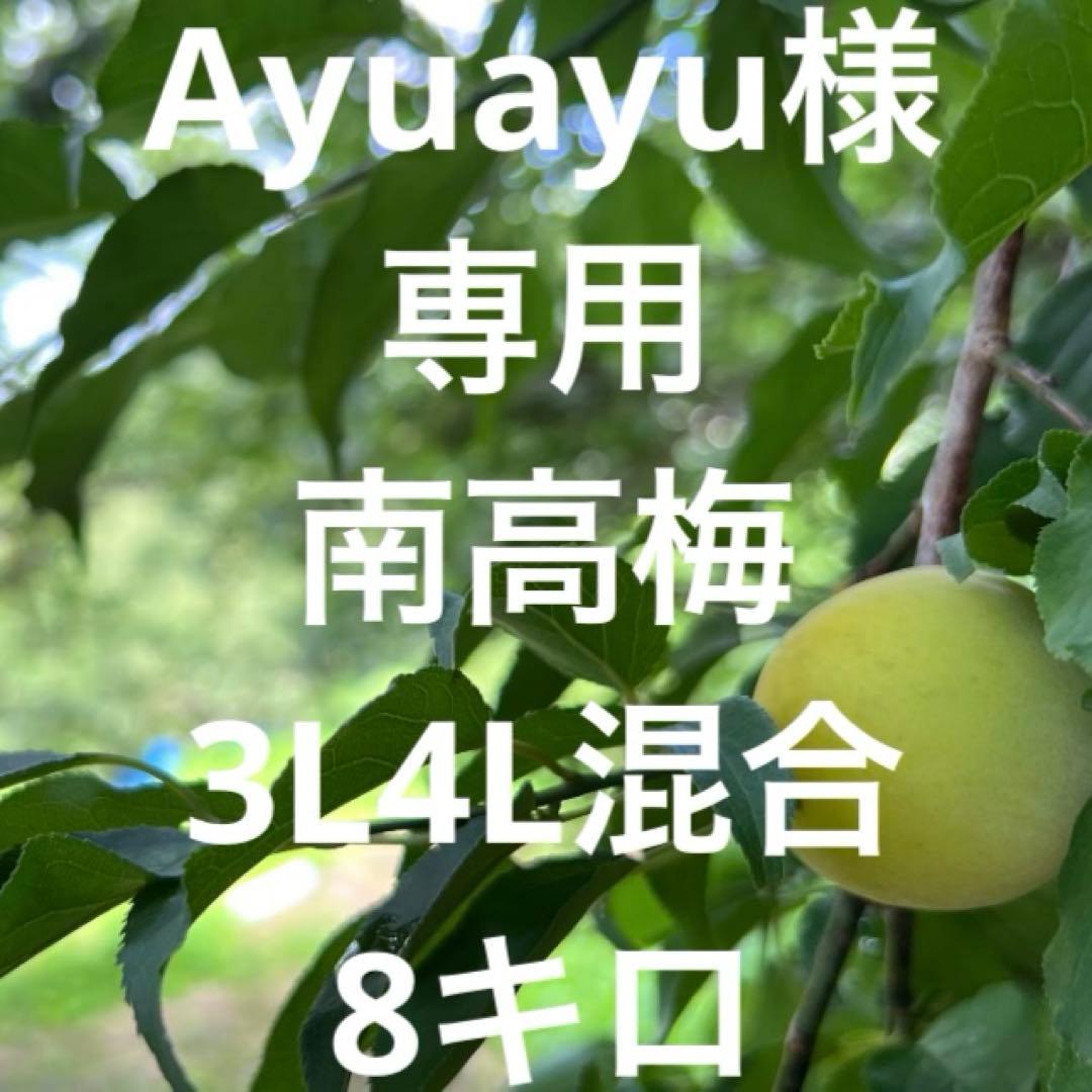 Ayuayu南高梅3L4L混合8キロ