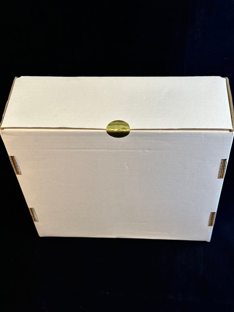 ブルーアーカイブ ガレージキット 針魚工房 ヒナ(水着) wf