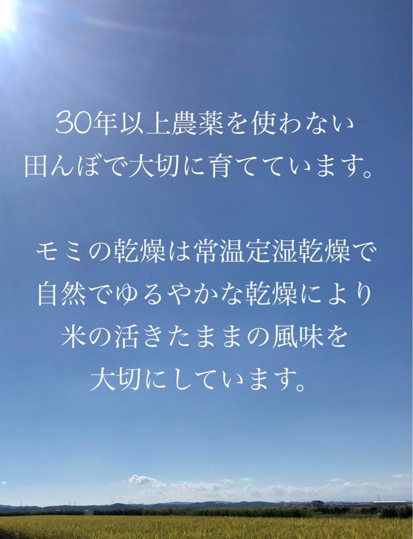 イセヒカリ　玄米10キロ　農薬不使用・肥料不使用　自然栽培米