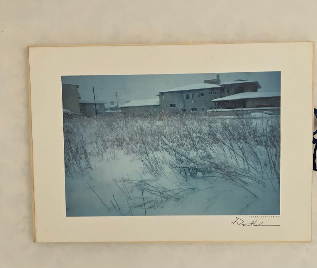 押印　池田大作写真集　平和と文化の光　創価学会名誉会長　貴重vol 1〜5非売品