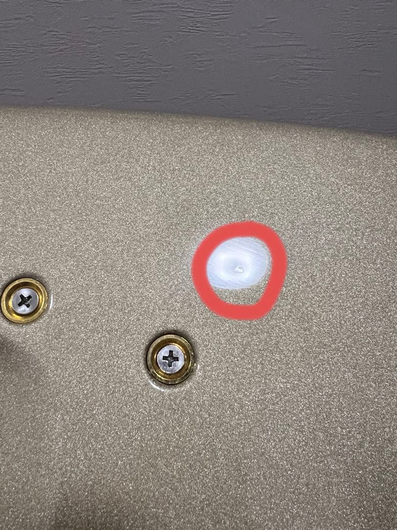 MotherPluckerGuitars 8弦 ギター　限定最終値下げ