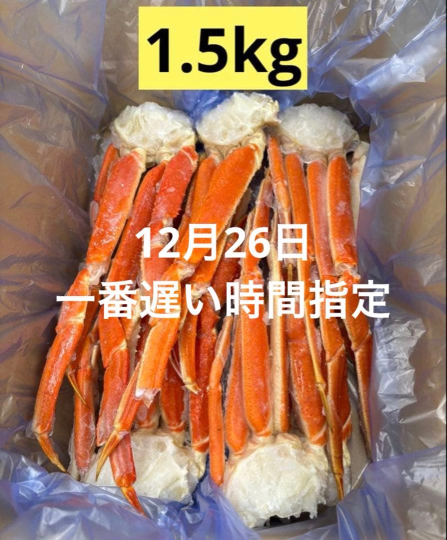 【12月26日 一番遅い時間指定】 ぶるーぱんだ