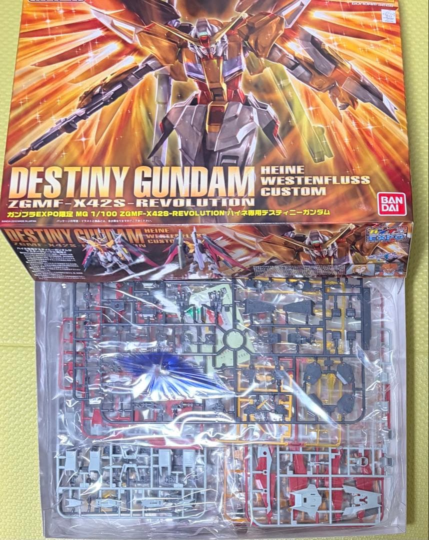 ガンプラEXPO限定 ハイネ専用 デスティニーガンダム MG 1/100