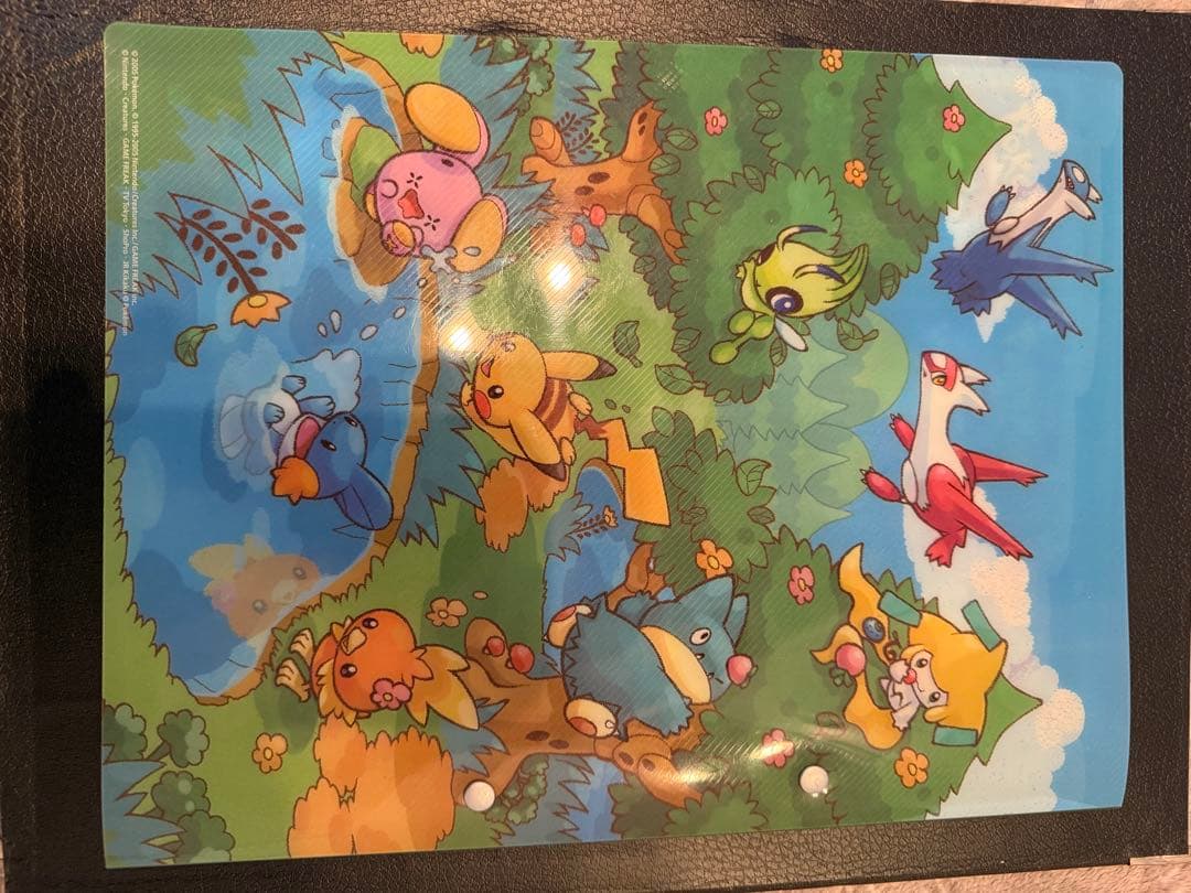 ポケモンカード　ポケパーク　プレミアムファイル