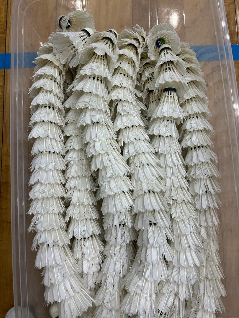 バドミントンシャトル30ダース(360球)