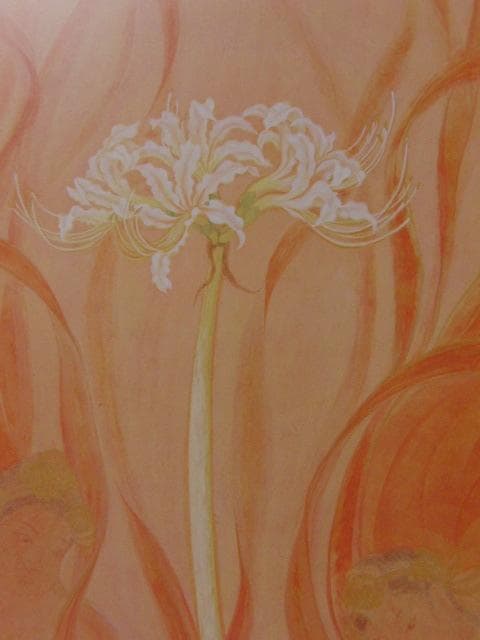 藤井範子、【宙】、希少な額装用画集より、新品額装付、状態良好