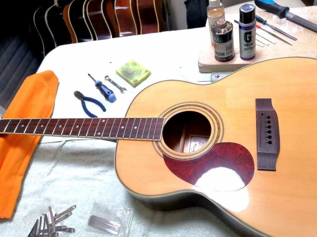 ★左利き用★Sepia Crue F-280LH/N★新品定価￥28,000