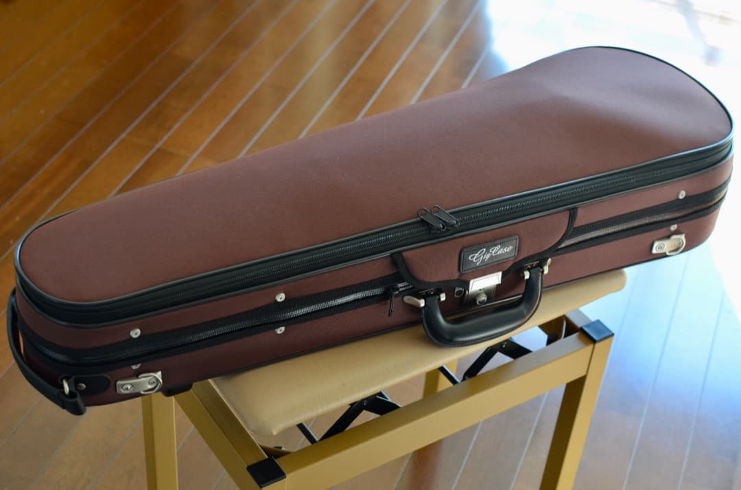 【ほぼ新品】Gliga VASILE gama2 バイオリン 4/4 セット