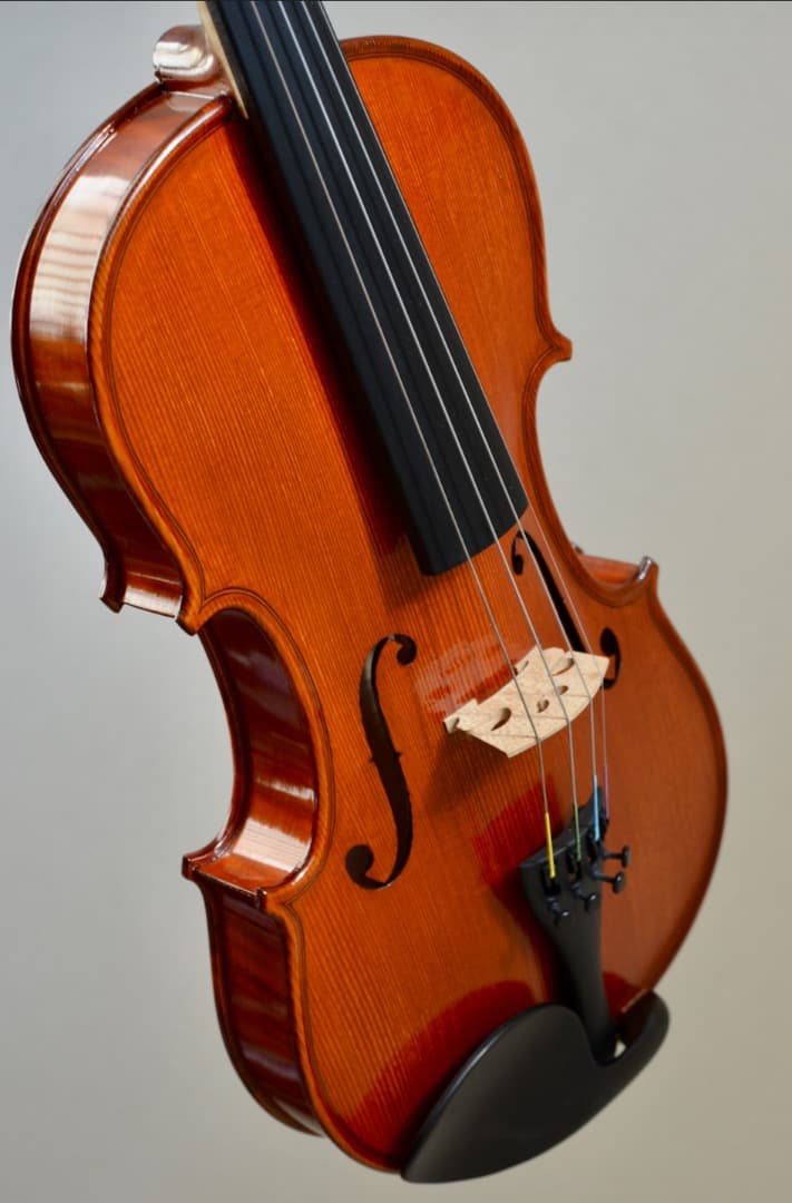 【ほぼ新品】Gliga VASILE gama2 バイオリン 4/4 セット