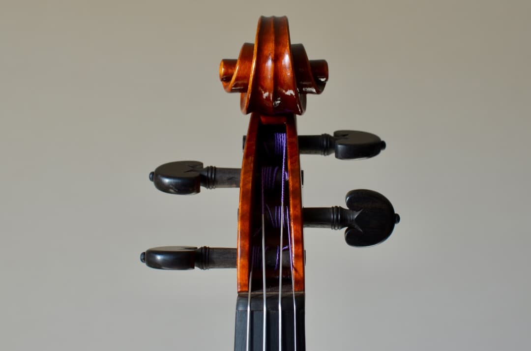 【ほぼ新品】Gliga VASILE gama2 バイオリン 4/4 セット