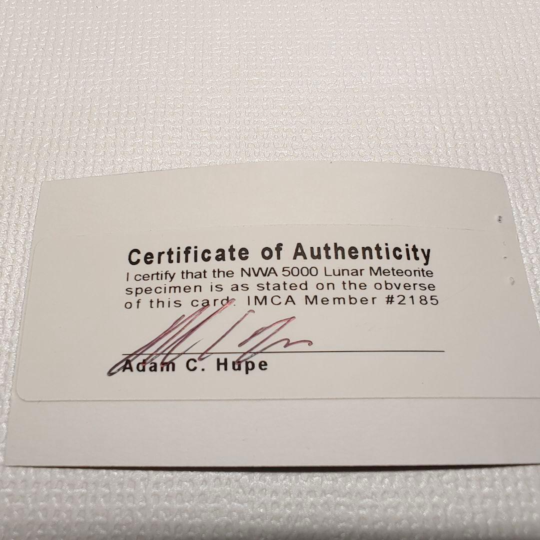 月隕石 NWA5000 192mg アダムホープ氏サインカード付き NO.217