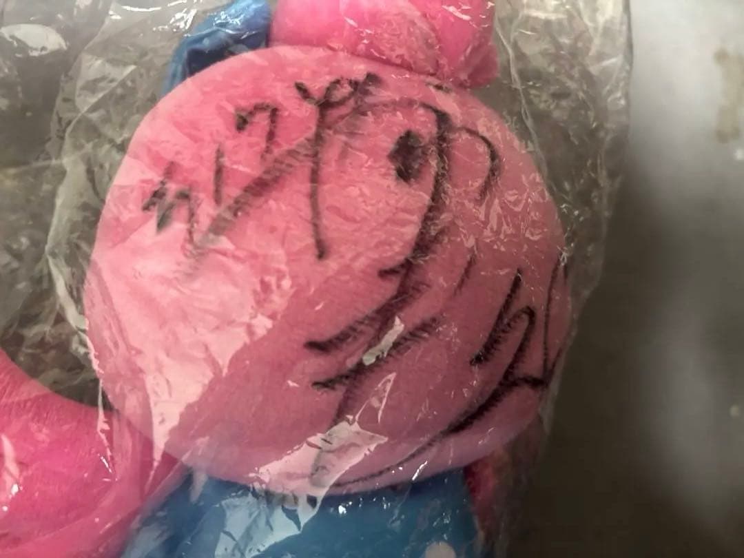 女子ボートレーサー5174川井萌選手サイン入りローリーぬいぐるみ