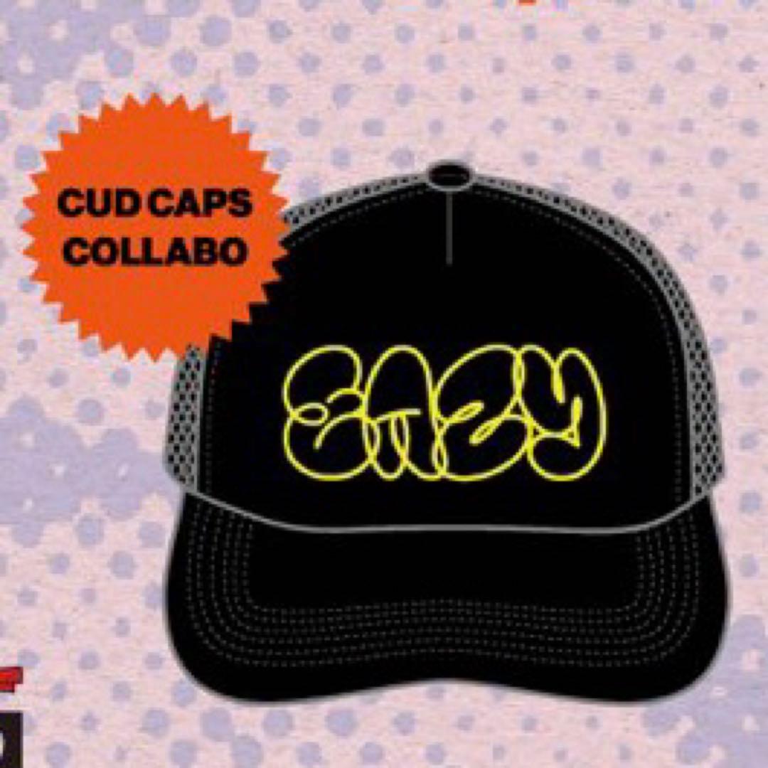 EASYツアー グッズ ENTH SHADOWS