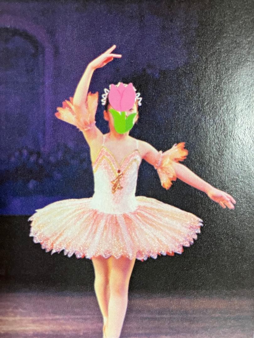 値下げしました！レースカバークラシックチュチュ2.3.5.5.6.6.６号