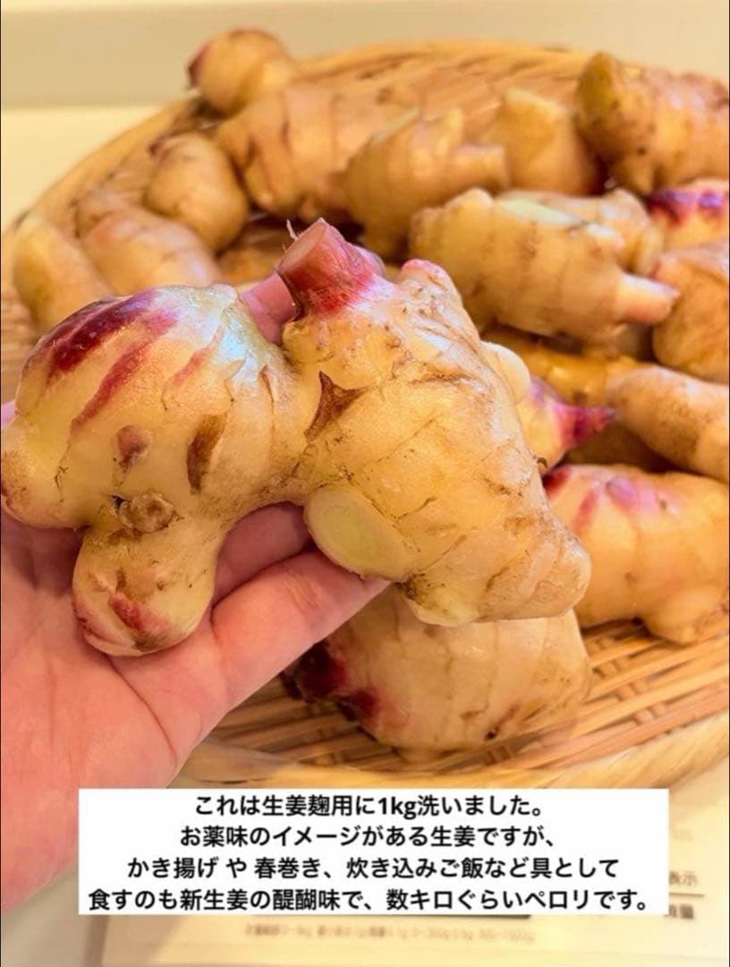 【農薬不使用】新生姜 【露地栽培】24時間以内発送 掘りたて 生姜 無農薬