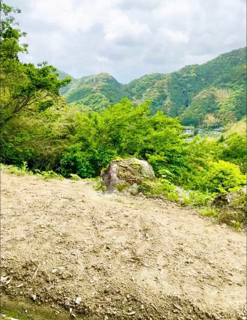 【農薬不使用】新生姜 【露地栽培】24時間以内発送 掘りたて 生姜 無農薬