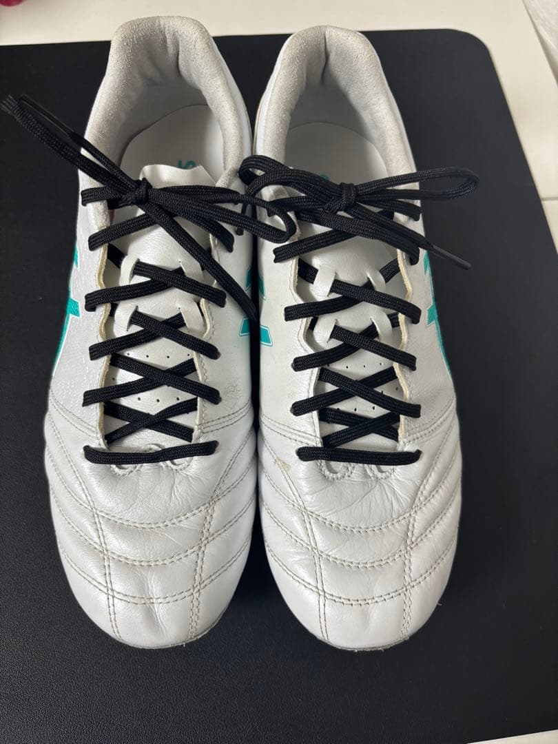 DS LIGHT PRO ホワイト×シーグラス