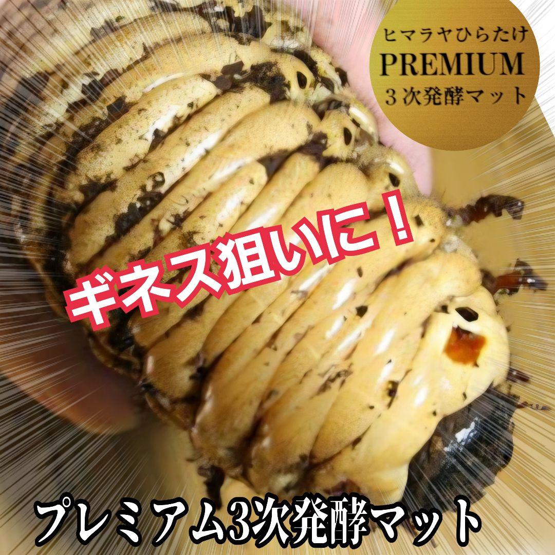 極上品！ヘラクレス181リミ羽化！プレミアム3次発酵カブトムシマット【100L】