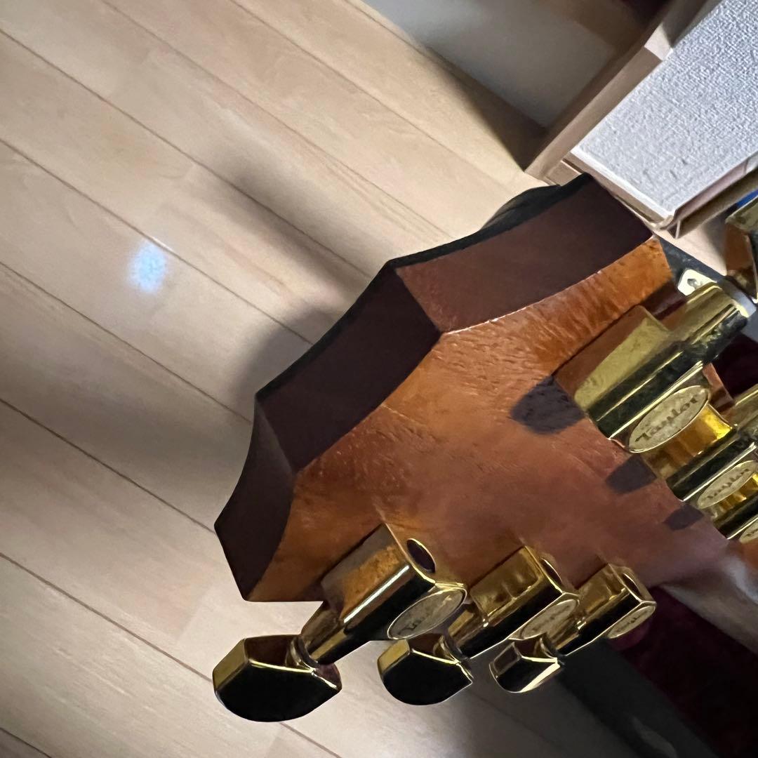 Taylor 224ce-K DLX ES2搭載 コア材 テイラー エレアコ