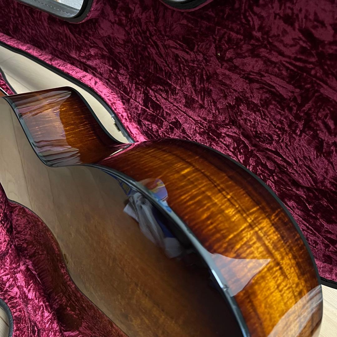 Taylor 224ce-K DLX ES2搭載 コア材 テイラー エレアコ