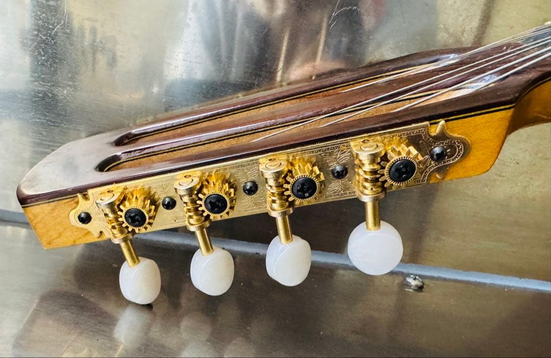 スズキマンドリン　M８０　ハードケース