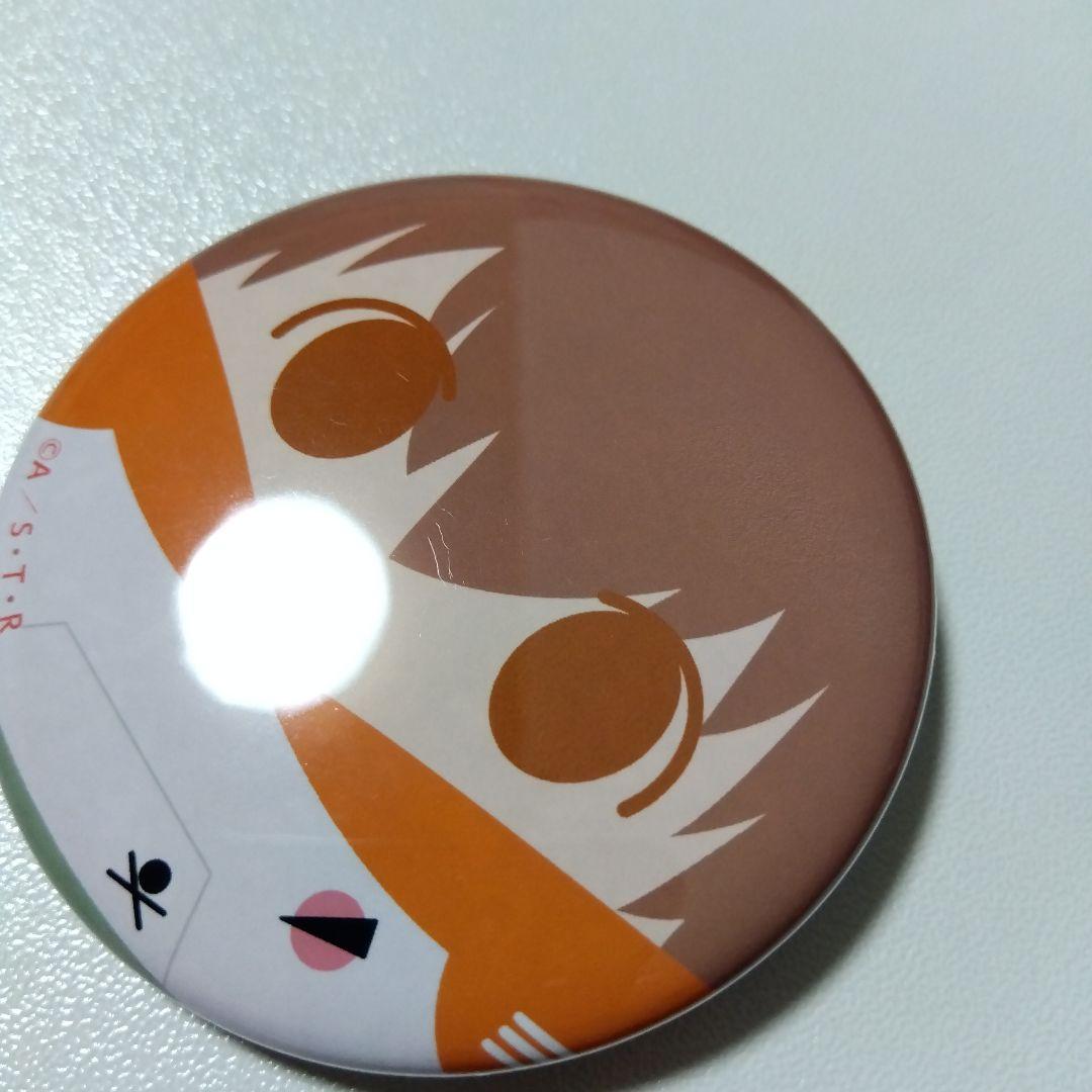 【REBORN!】沢田綱吉 ツナ たまっぷ 缶バッジコレクション リボーン