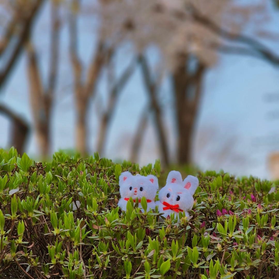 ジミン ジョングク マスター マスタニム ぬいぐるみ ヨンモリ キーホルダー