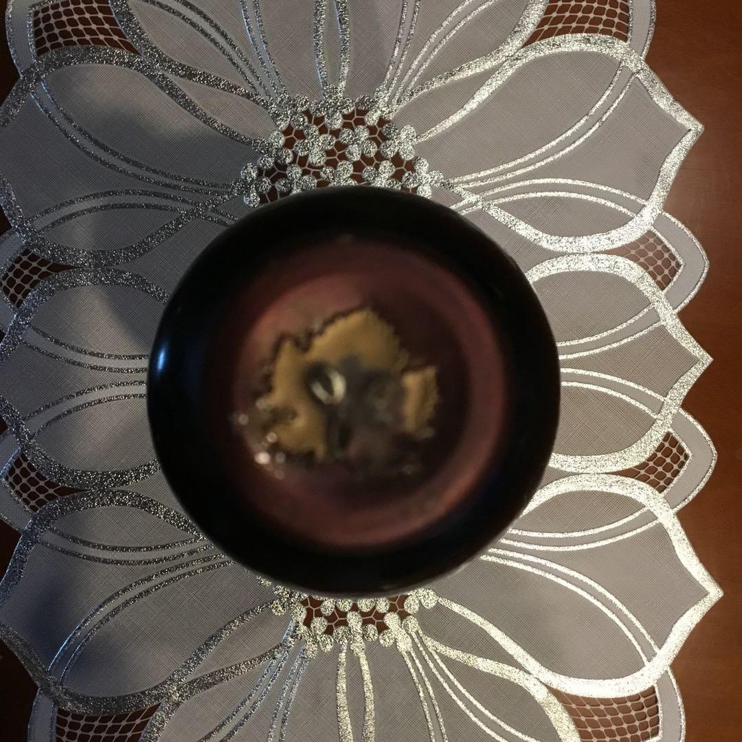 インシグニア INSIGNIA 2001年 パーカー98点